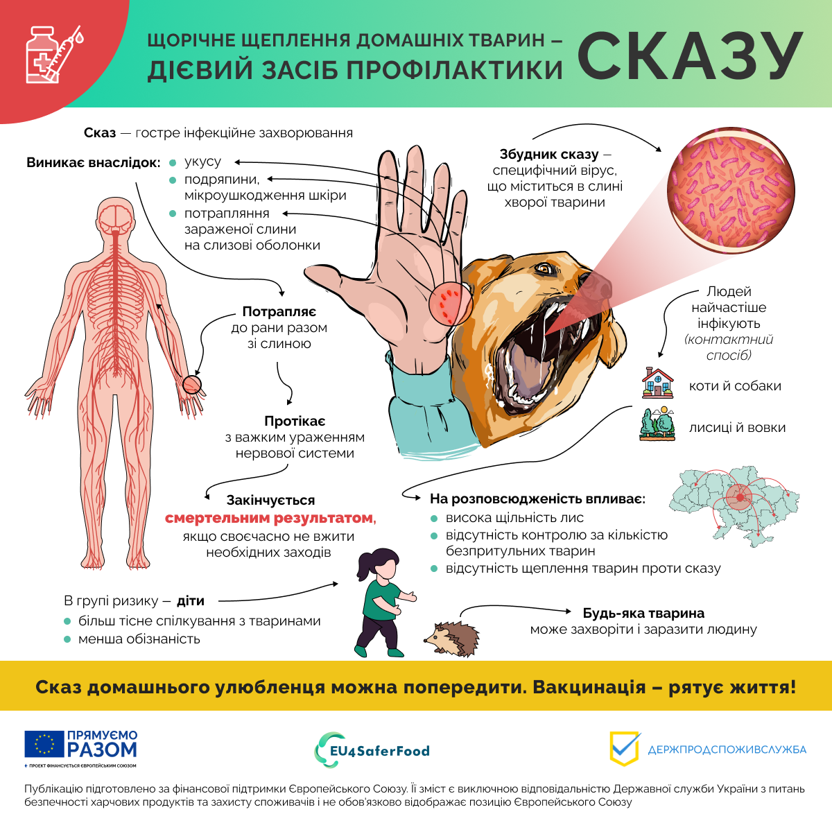 5 фактів, які потрібно знать про СКАЗ