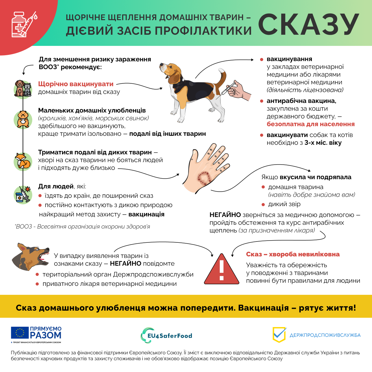 5 фактів, які потрібно знать про СКАЗ
