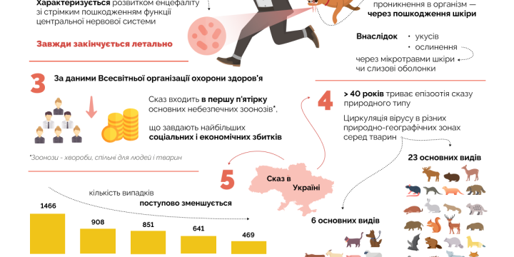 5 фактів, які потрібно знать про СКАЗ