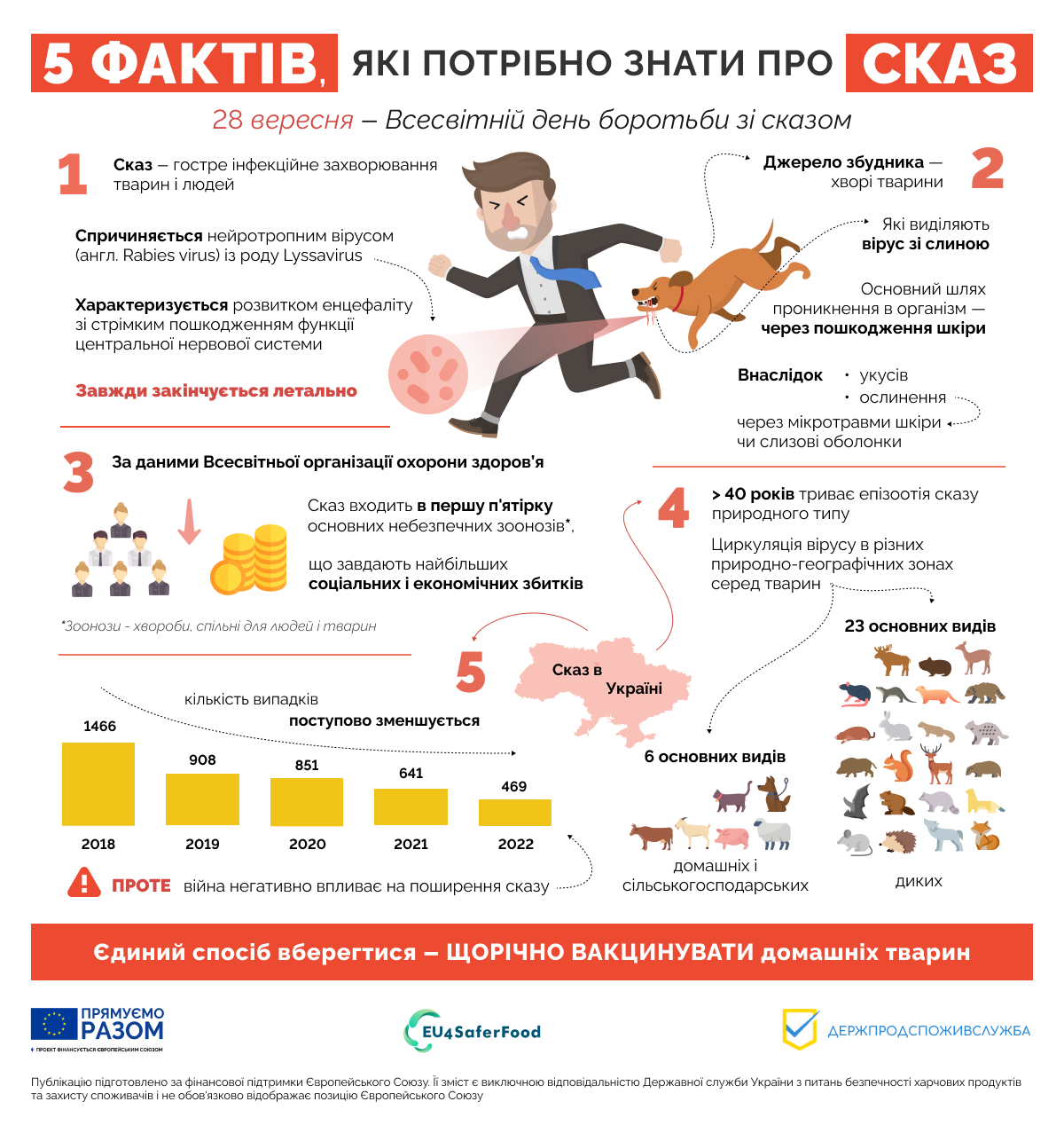 5 фактів, які потрібно знать про СКАЗ