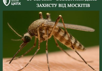 До Всесвітнього дня захисту від москитів: Маленькі комахи – великі ризики для здоров’я